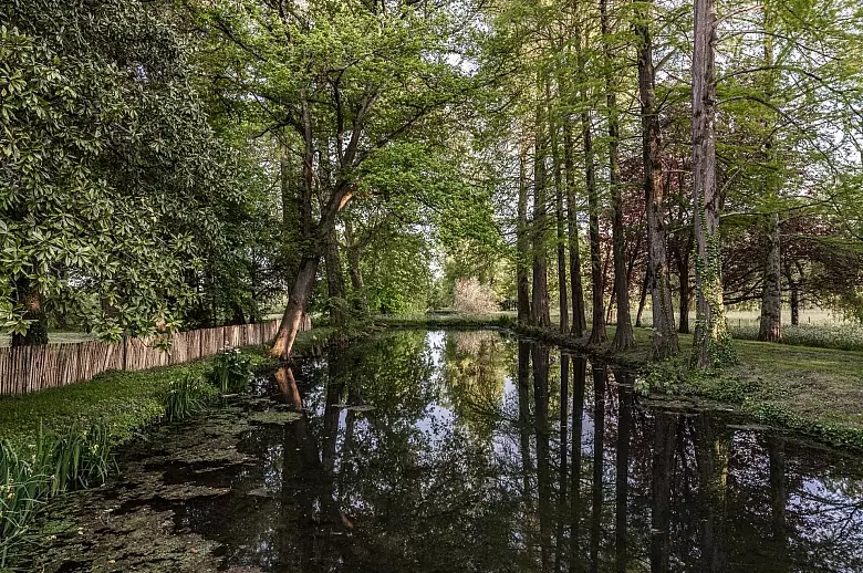 Pearl of Medoc - Location villa de luxe - Aquitaine / Pays Basque - ChicVillas - 23